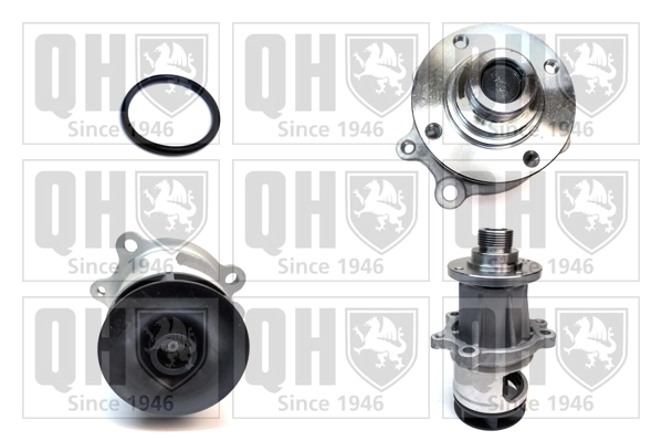 QCP2804