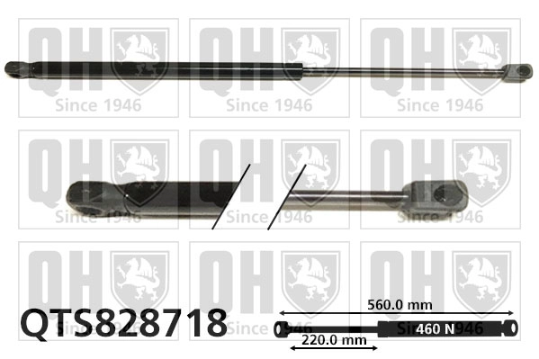 QTS828718