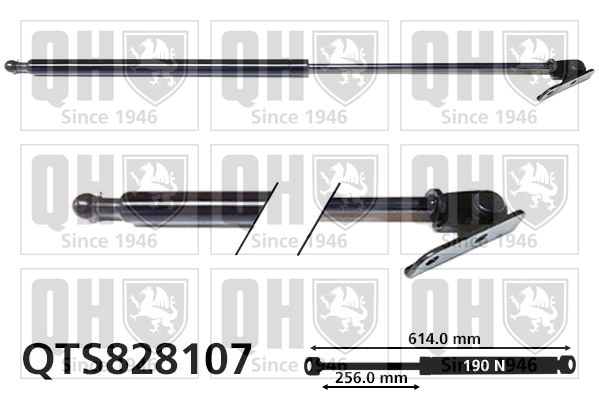 QTS828107
