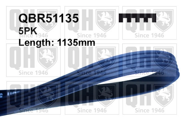 QBR51135