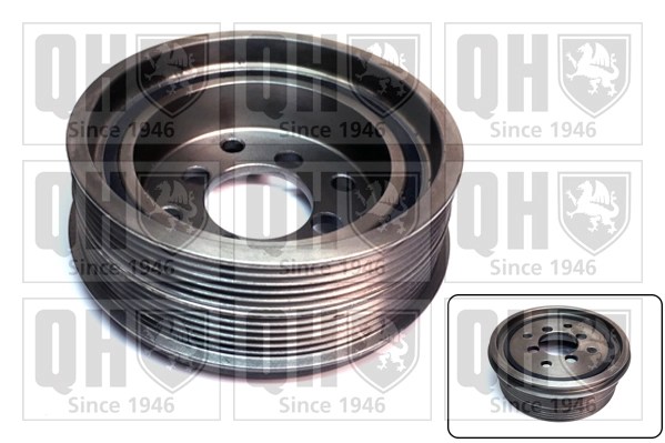 QCD100