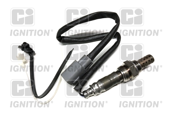 XLOS1607