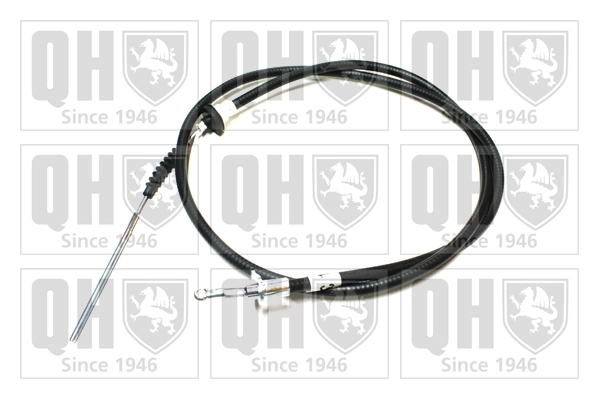 QCC1599
