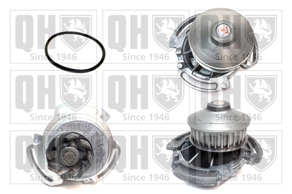 QCP3404