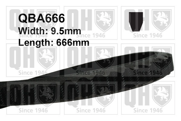 QBA666