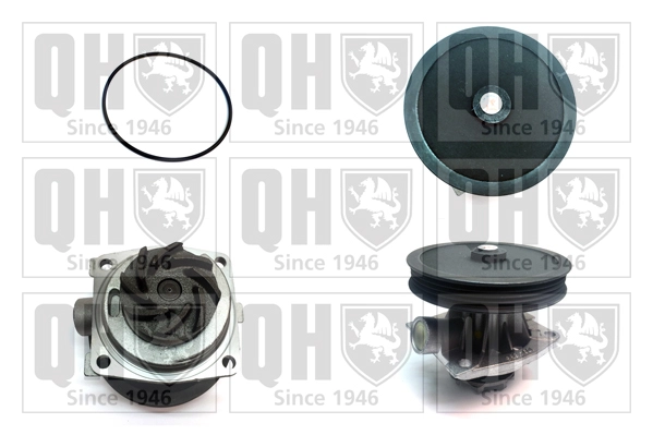QCP3367