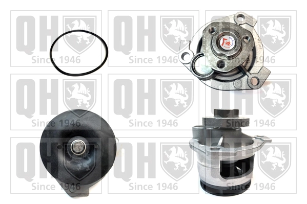 QCP3387