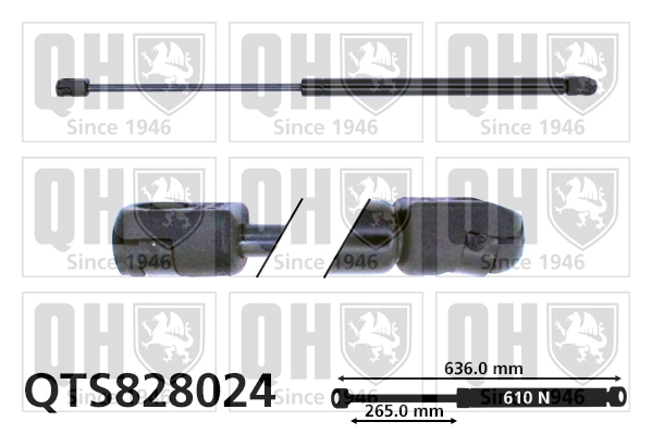 QTS828024