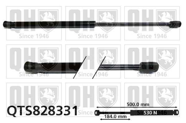 QTS828331