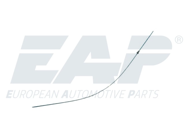 EAP2021