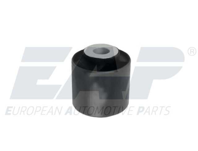 EAP13