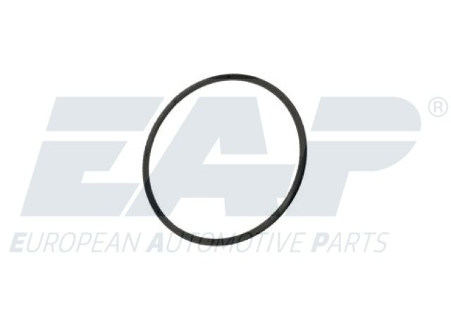 EAP307