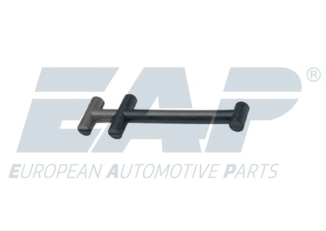 EAP202