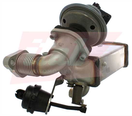 70075007OV