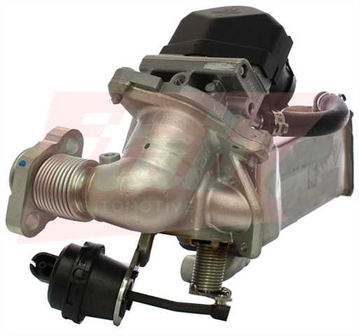 70075006OV