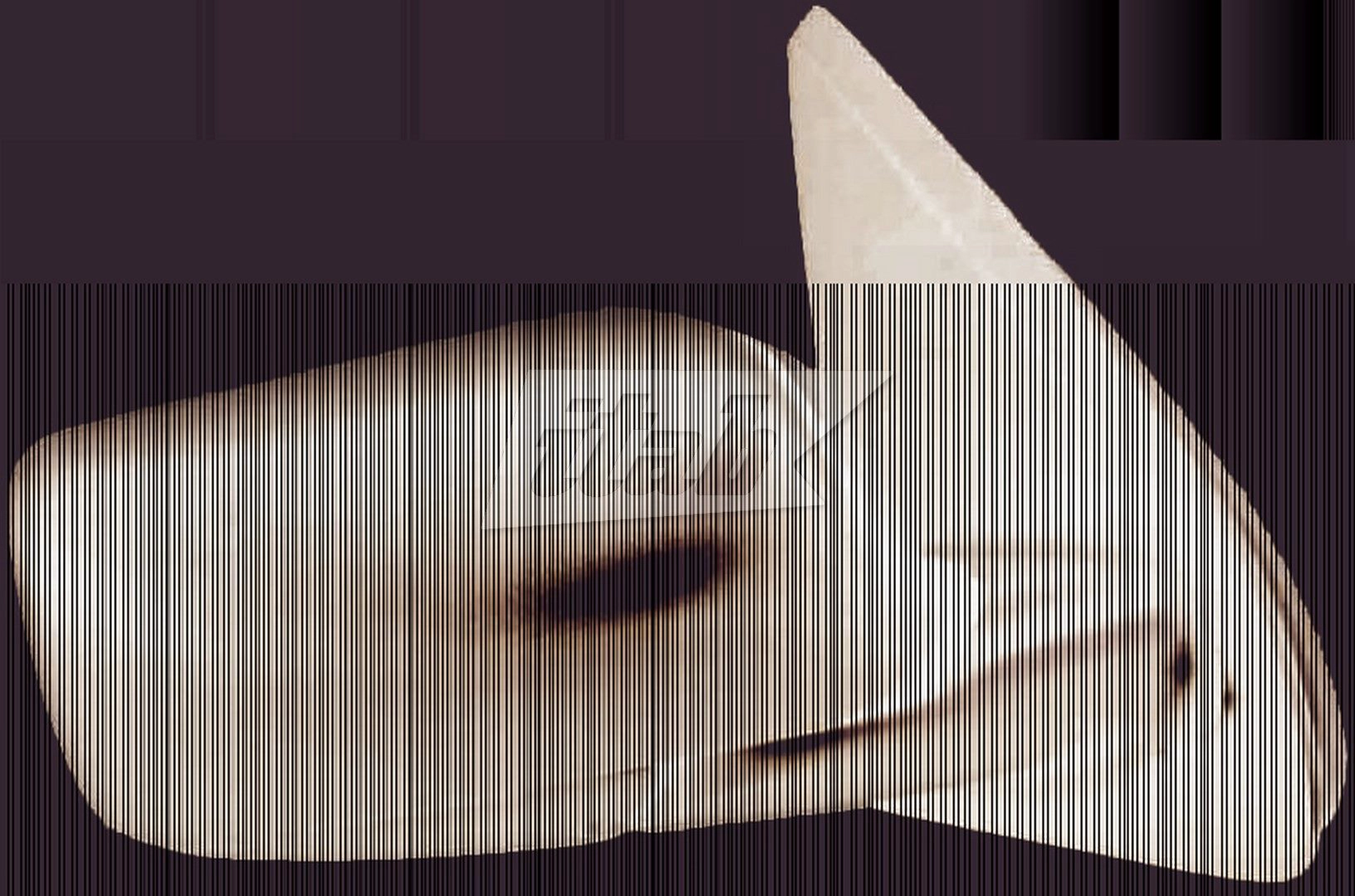 RTVR1002AV