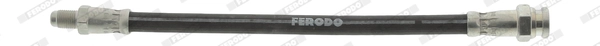 FHY2481