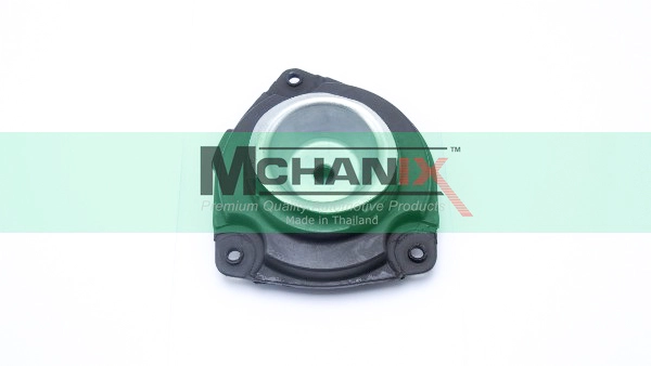 NSSTM-010