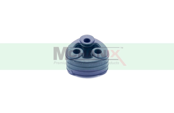 ISEPS-001