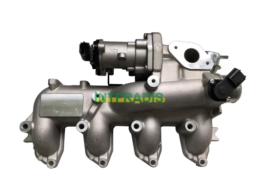 25613
