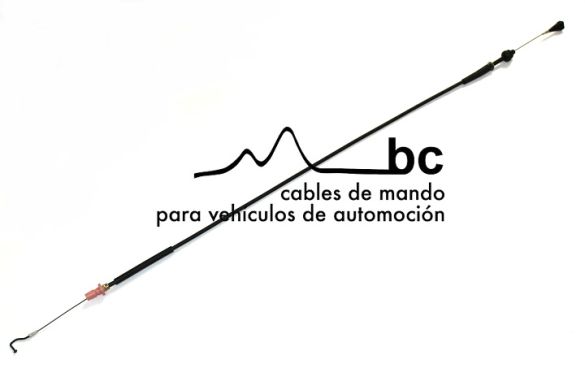 801029