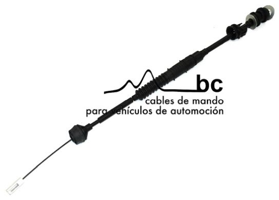 507019