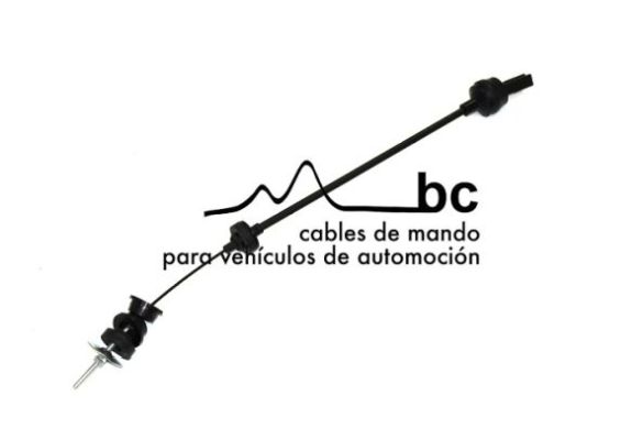 107007