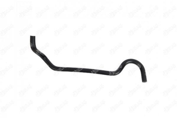 21229