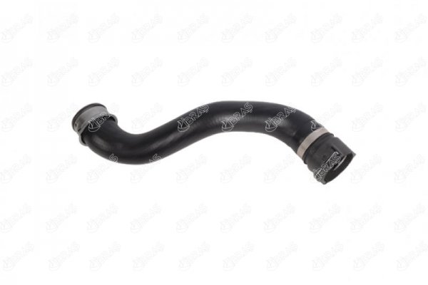 33121