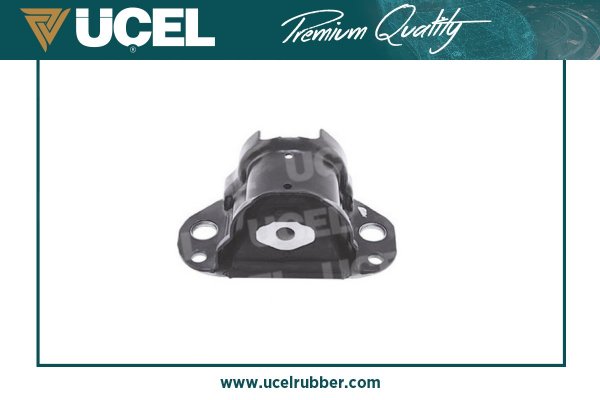 10955