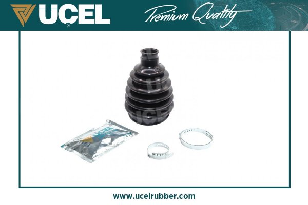 20251