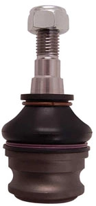 RS17048