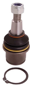 RS16095