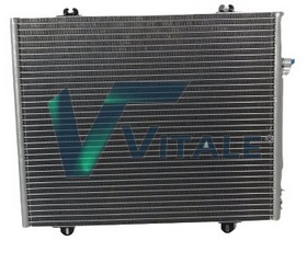 RVI817379