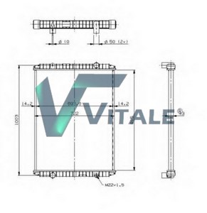 RVI731554