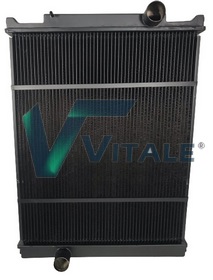 RVI213807