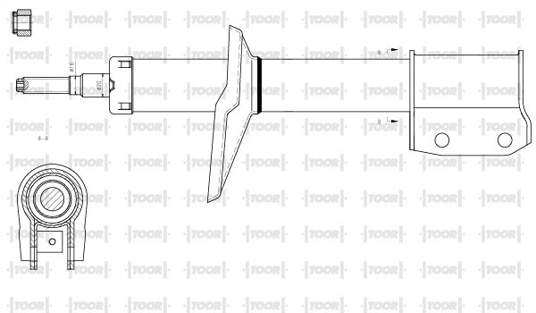 SG11300