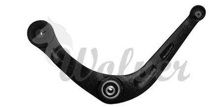 SP306811