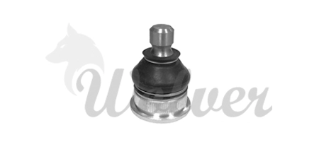 SP113950