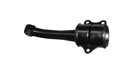 SM81029