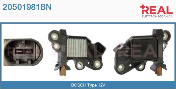 20501981BN