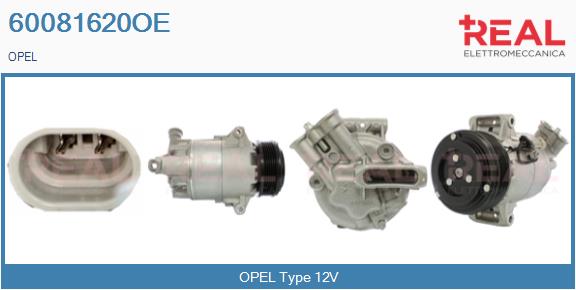 60081620OE