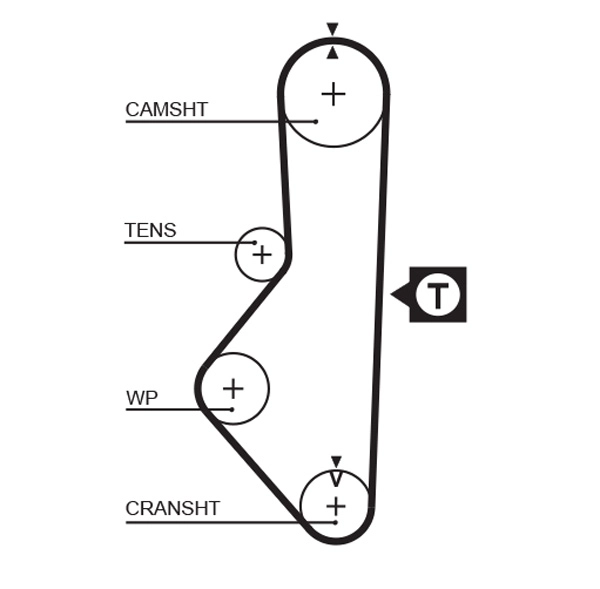 T117