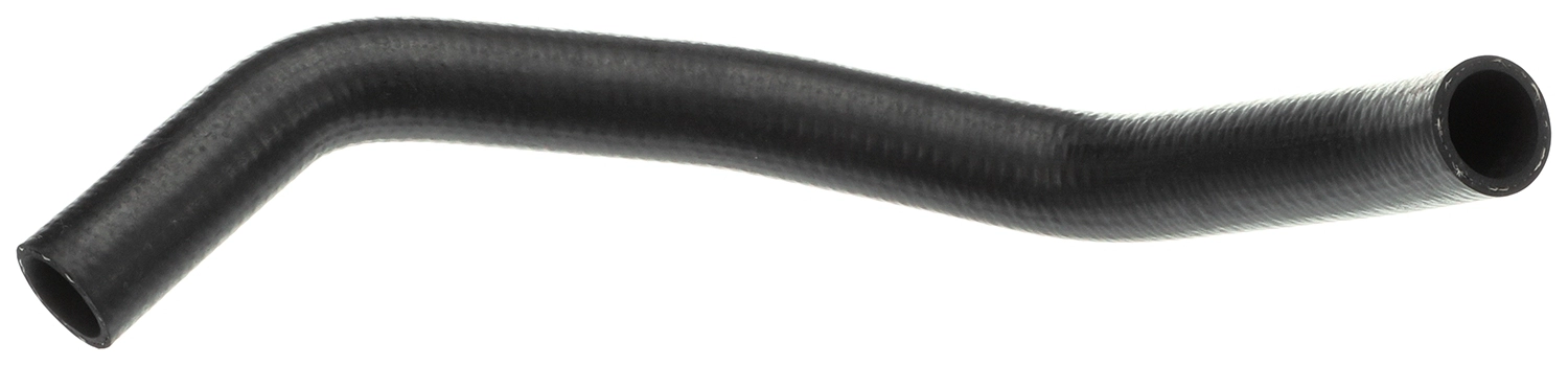 23262