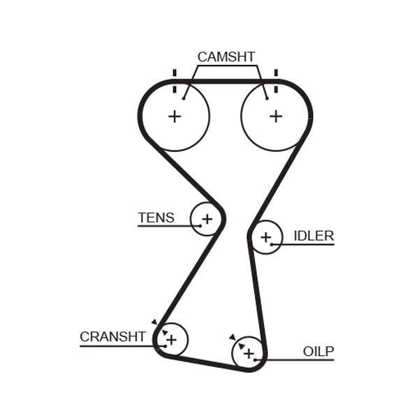 T256
