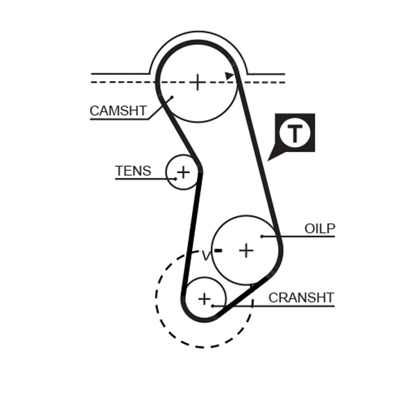T017