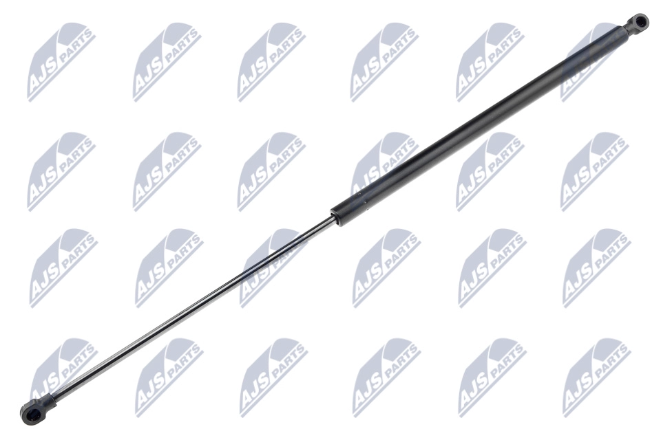 AE-NS-010
