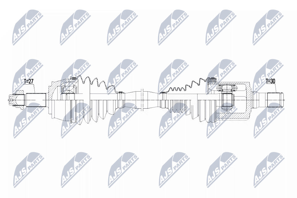 NPW-CH-042