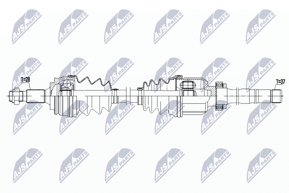 NPW-CT-091