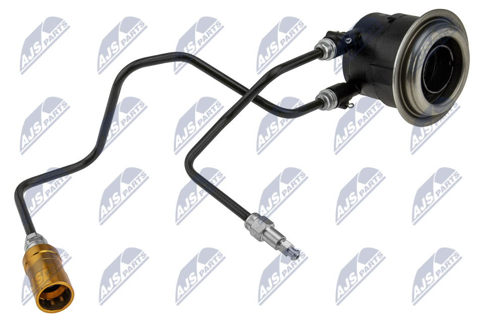 NWS-LR-003